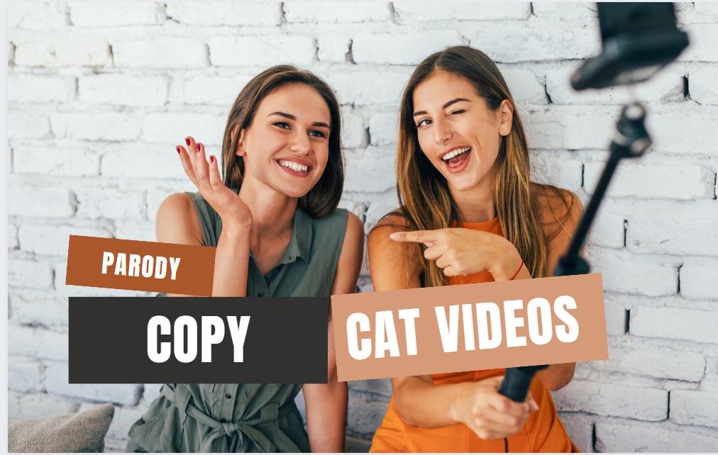 PARODY & COPY CAT VIDEOS